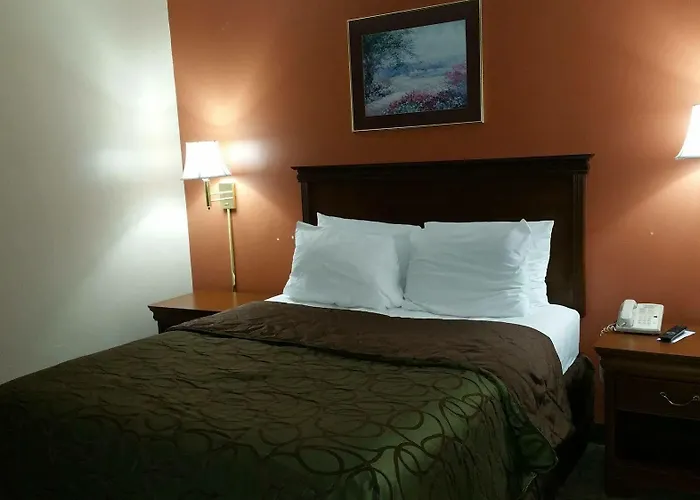 Hotel Briarwood 2*